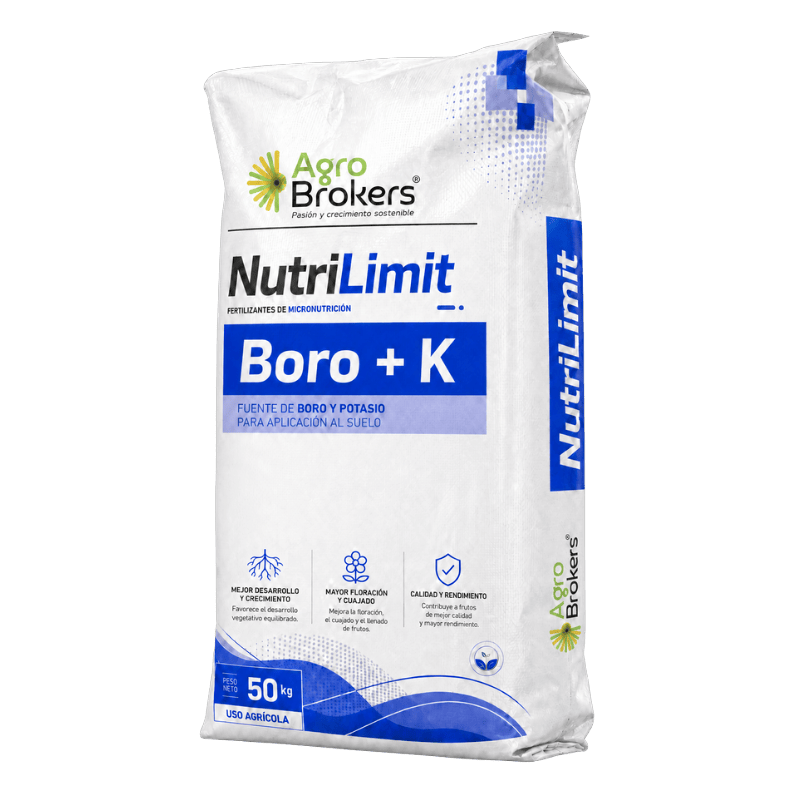 Boro + K