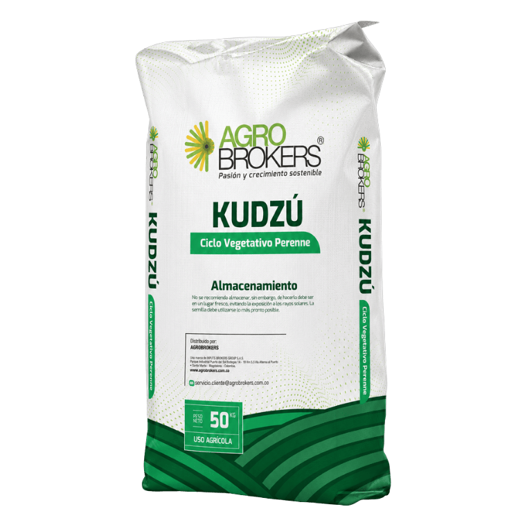 Kudzu