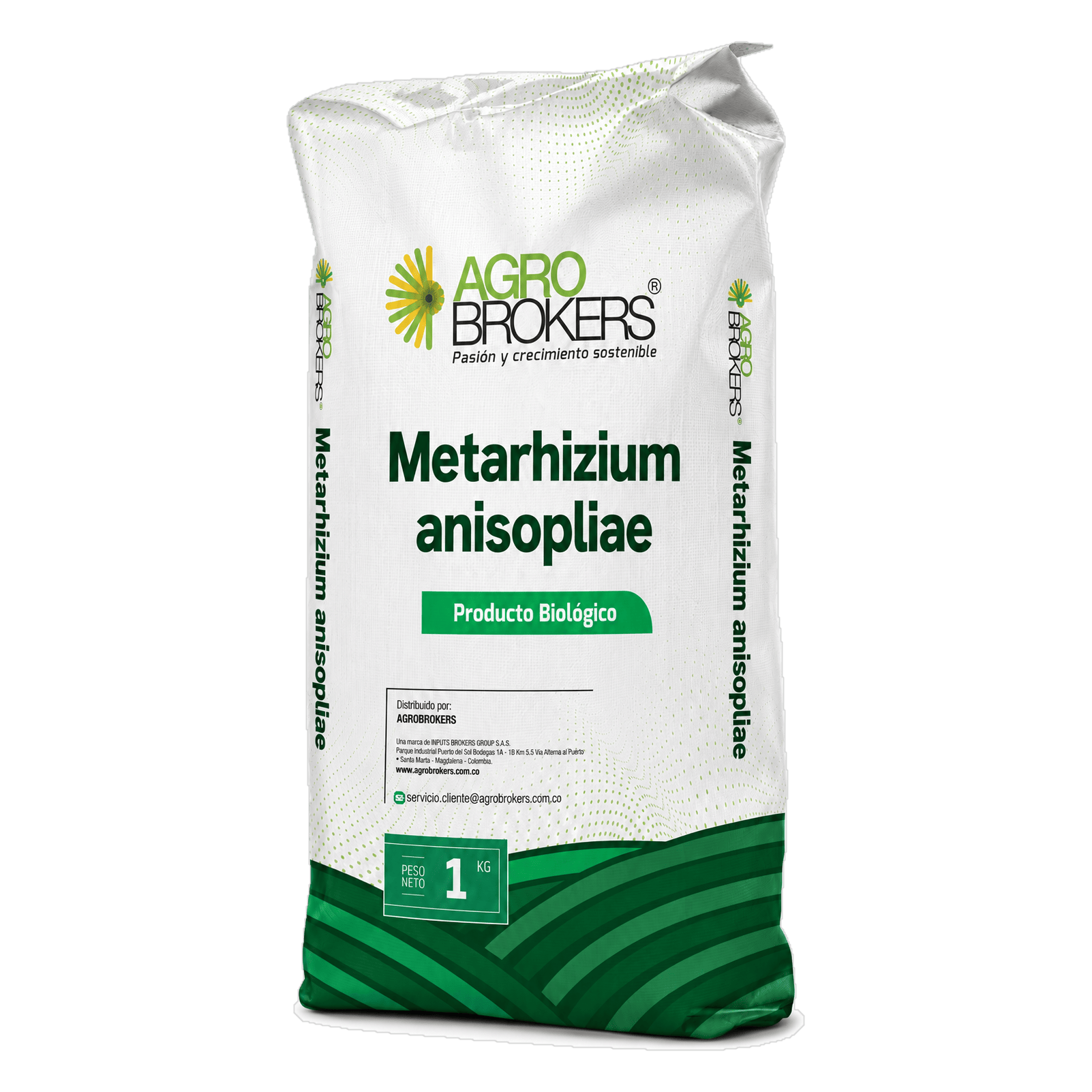 Metarhizium anisopliae