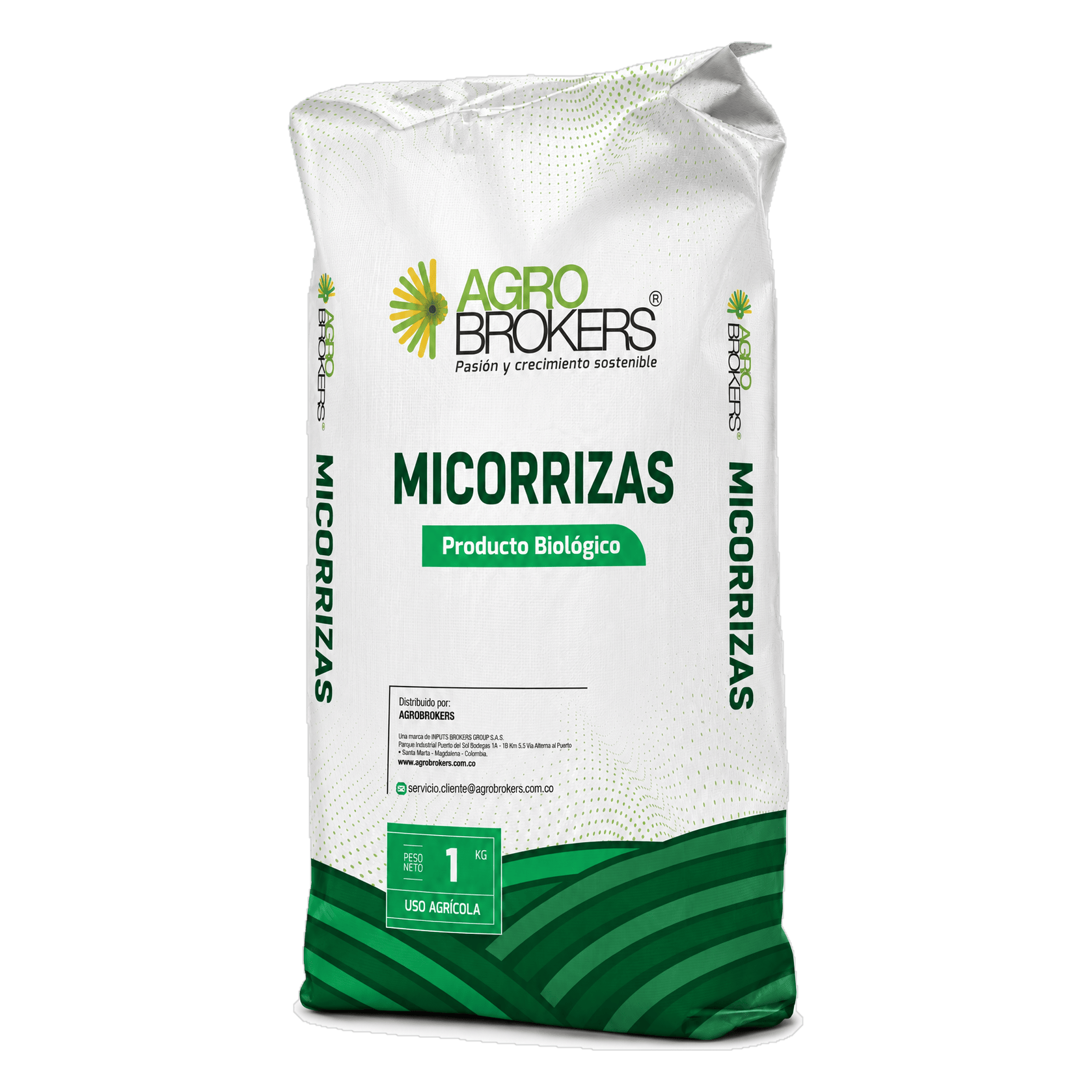 Micorrizas