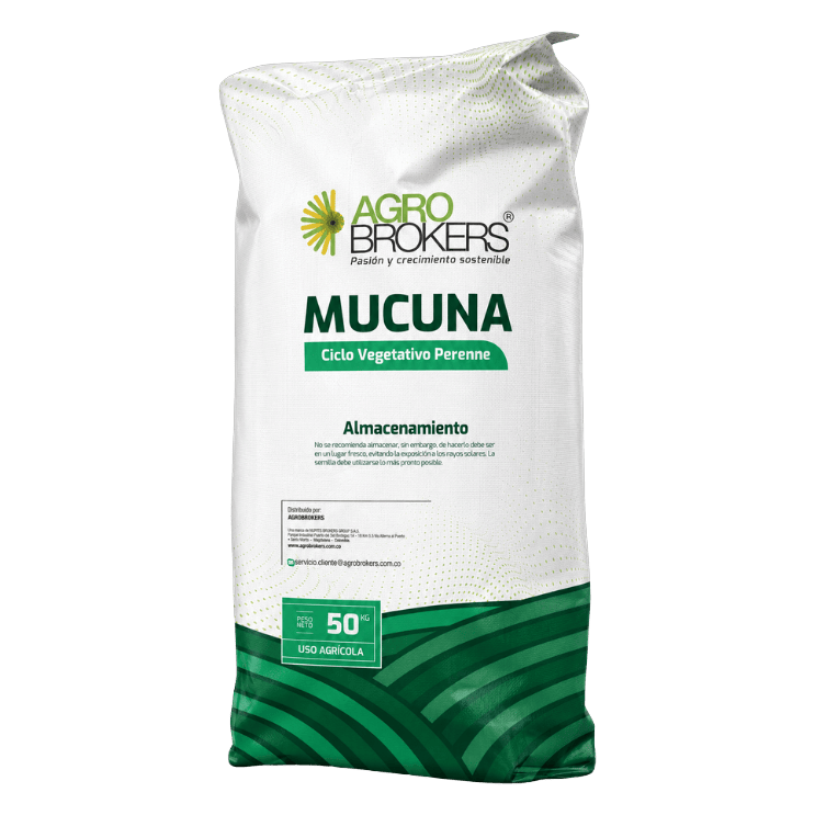 Mucuna